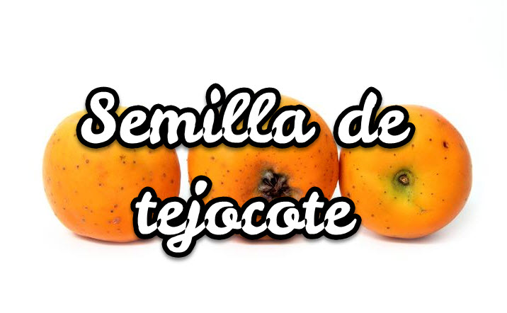 Semilla de tejocote