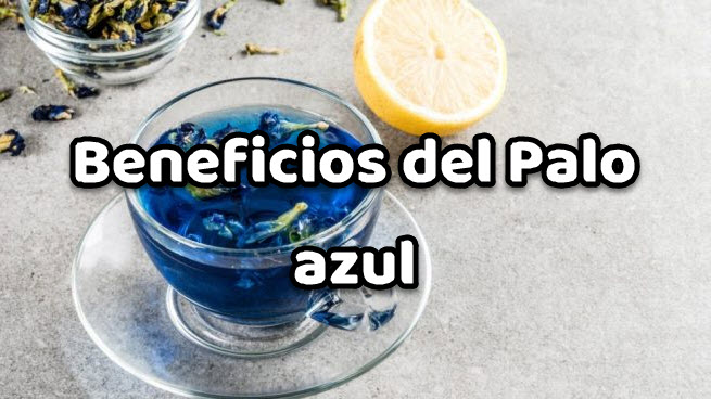 Beneficios del Palo azul